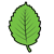 Leaf_Icon